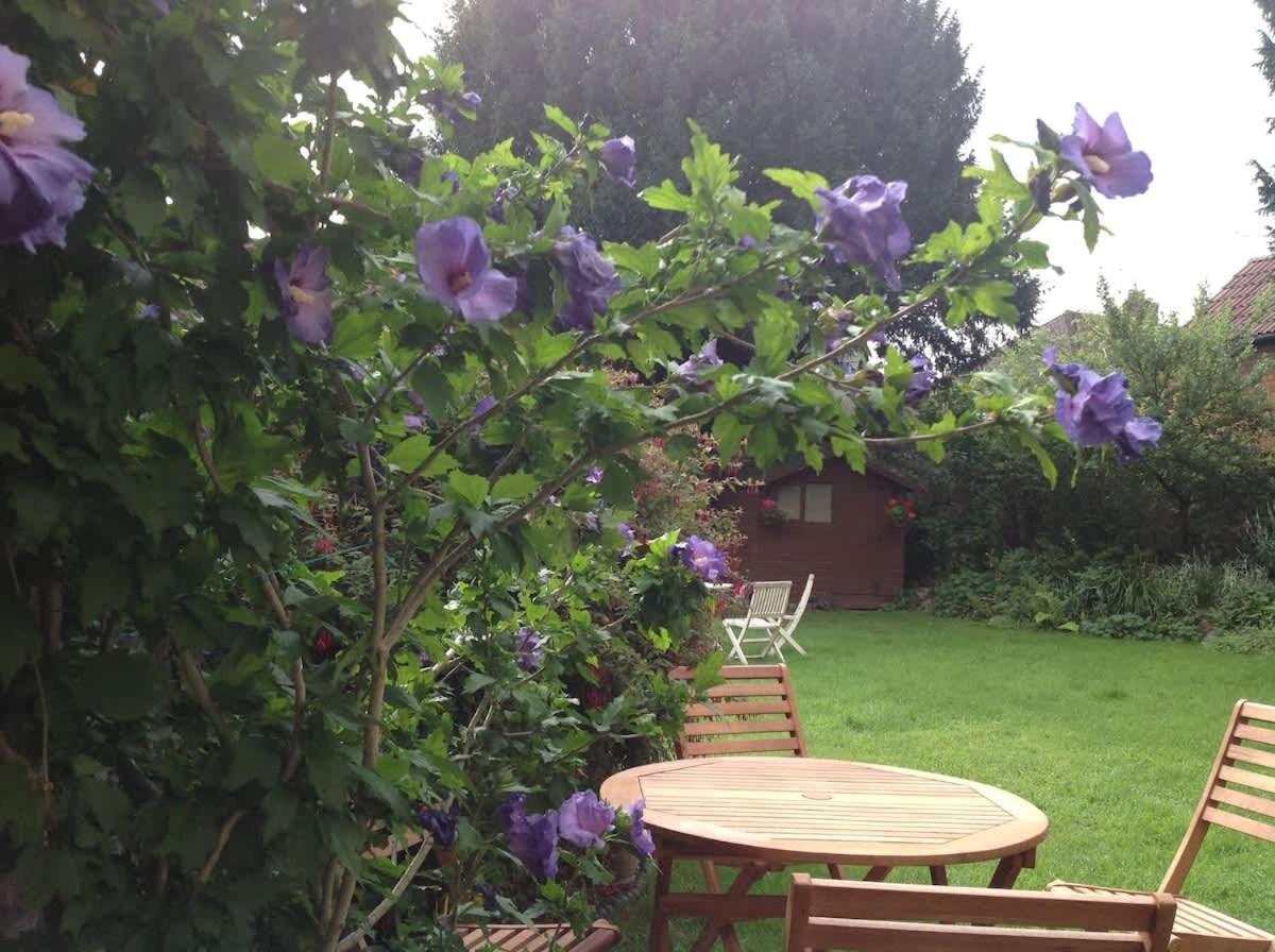Apartment Cosy And Quiet Garden Flat