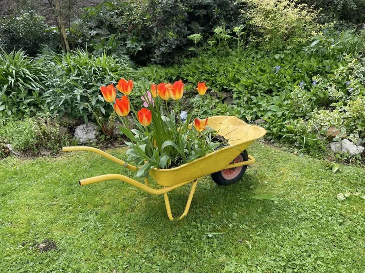 Apartment Cosy And Quiet Garden Flat