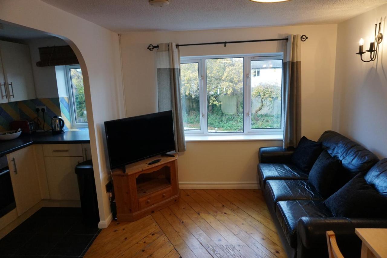 Apartment Cobolt
