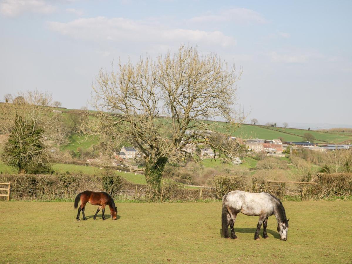 Annex Chetnole Holiday home