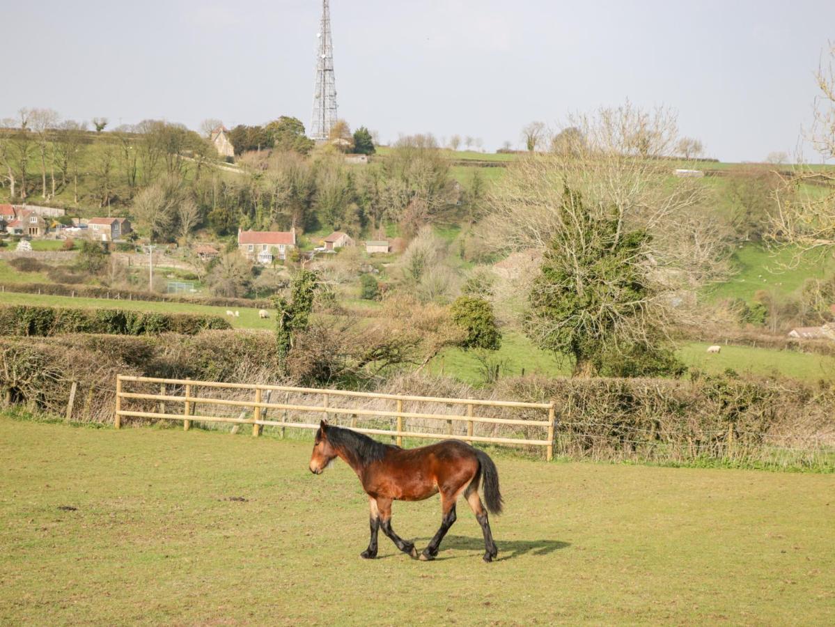 Annex Chetnole Holiday home Bristol