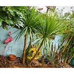 Colourful 3Bd Home With Garden In Southville