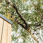 Carmen Eco-Pod / Treehouse, Close To Cabot Circus