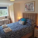 Dream View