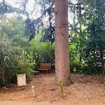 Apartment Near Harbourside & City Centre
