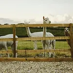 The Hay Barn - Hopewell