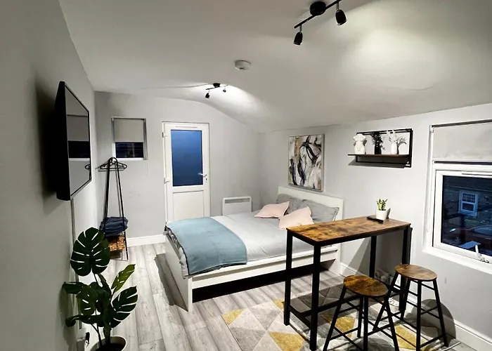 Dvm Escape Flat 2