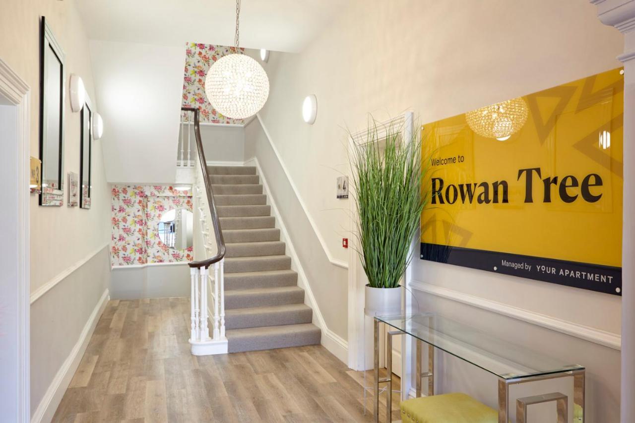 Rowan Tree - Your *