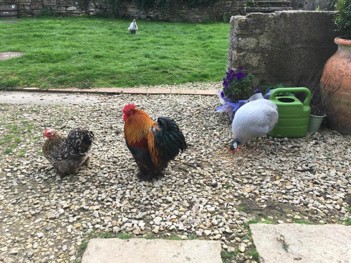 Woodcock Farm *