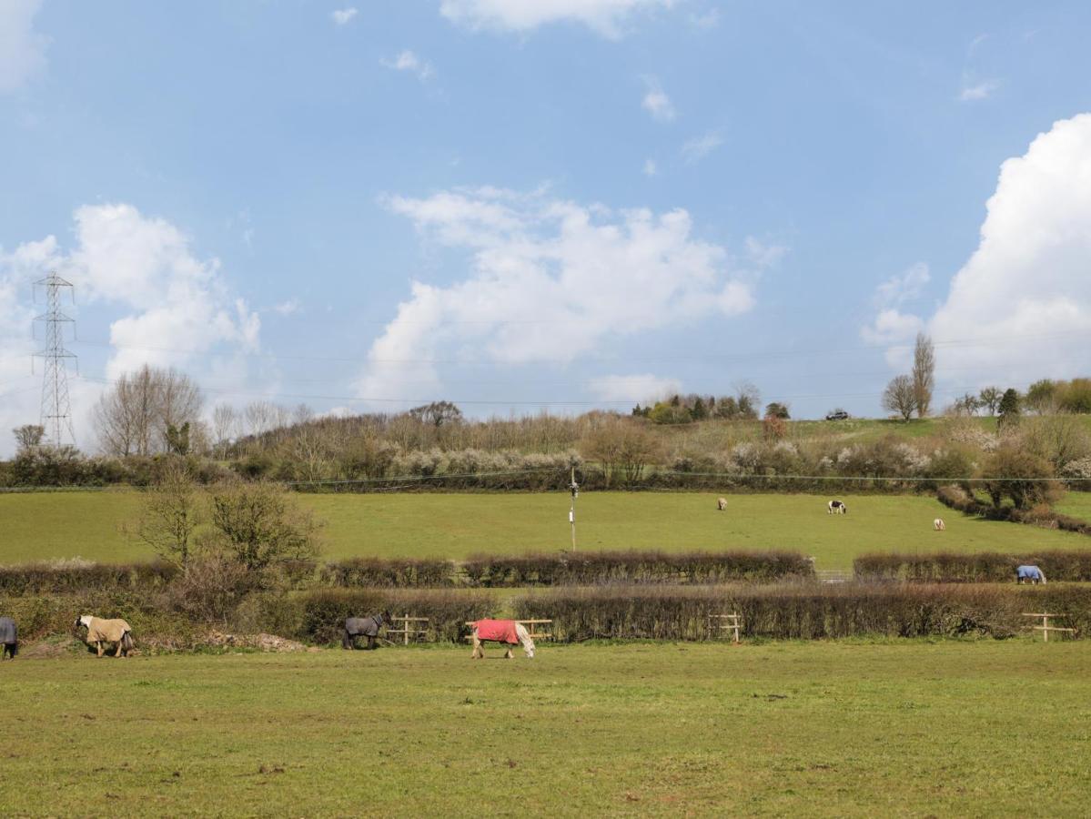 Honeysuckle Hut, Myrtle Farm Holiday home Bristol