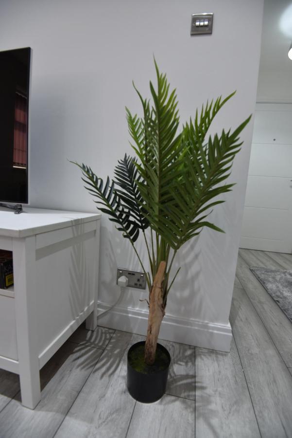Apartment Cozy! 2-bedroom Exclusive Near City Centre Easton Speedwell Sleeps Upto 6