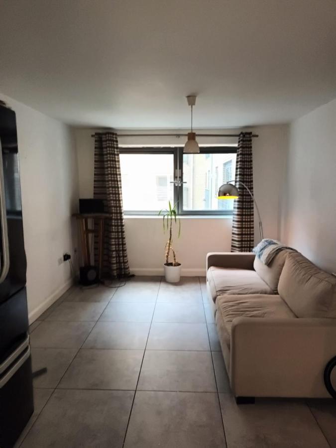 Cosy Modern In Central Near Stokes Croft Apartment