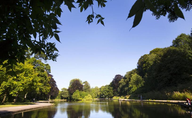 Fernleigh Homestay Guest house Bristol