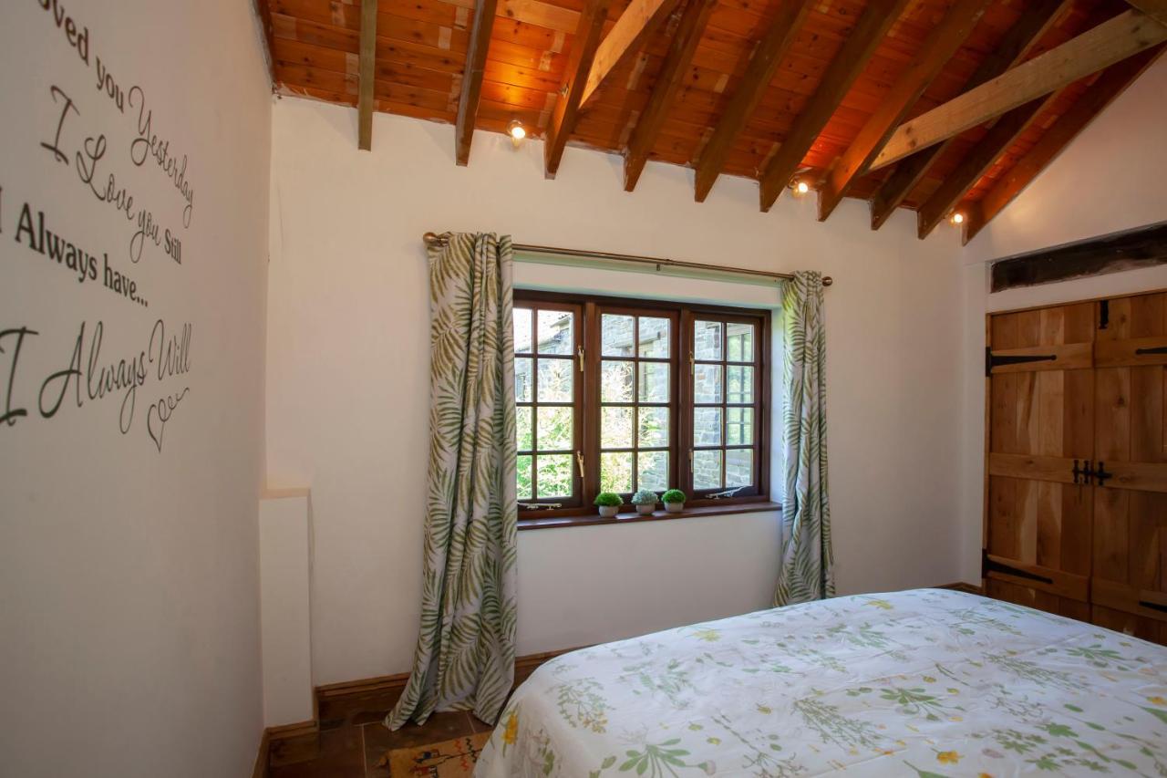 Villa La Olli -natural Pool & Hot Tub Bristol