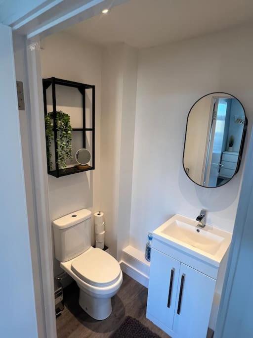 Abbotsbury 1 Bed Opposite Uwe Free Parking *
