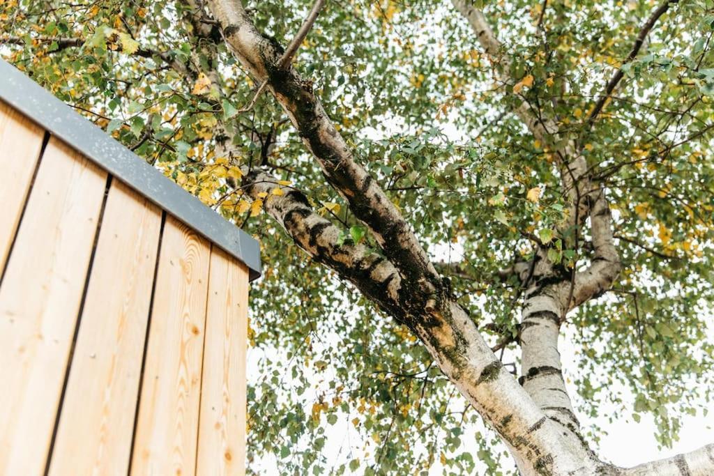 Carmen Eco-pod / Treehouse, Close To Cabot Circus Apartment Bristol