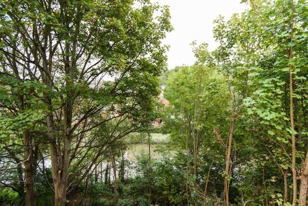 Apartment Modern Immaculate With Ac & Parking, Outside The Caz Bristol