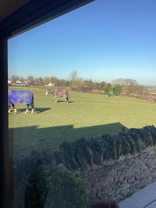 Holiday home Harcombe Barn Near