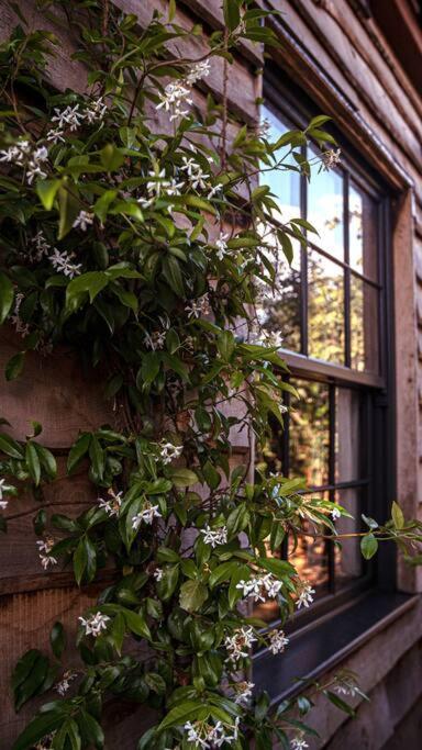 The Coach House In The Heart Of Bishopston Apartment *