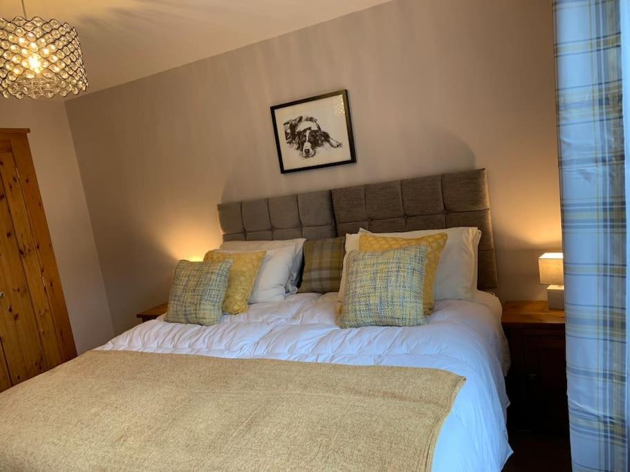 Apartment Centrally Located Light Warm & Welcoming