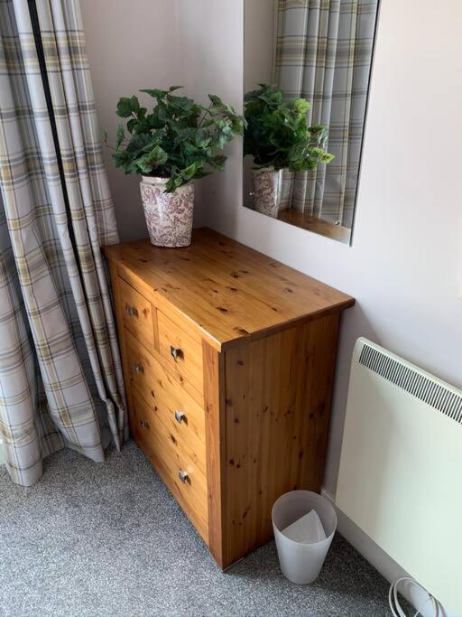 Centrally Located Light Warm & Welcoming Apartment