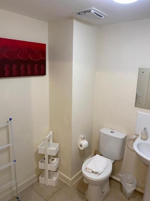 Apartment Centrally Located Light Warm & Welcoming Bristol