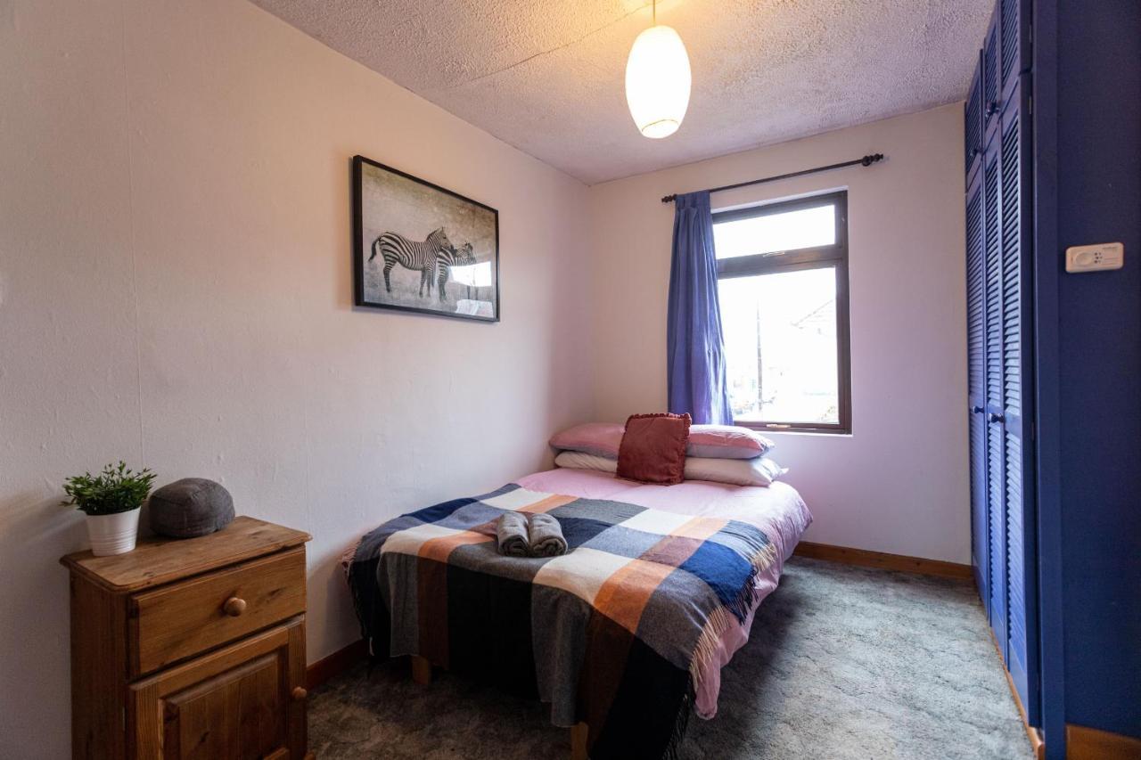 October Disc - Long - Contractors Apartment