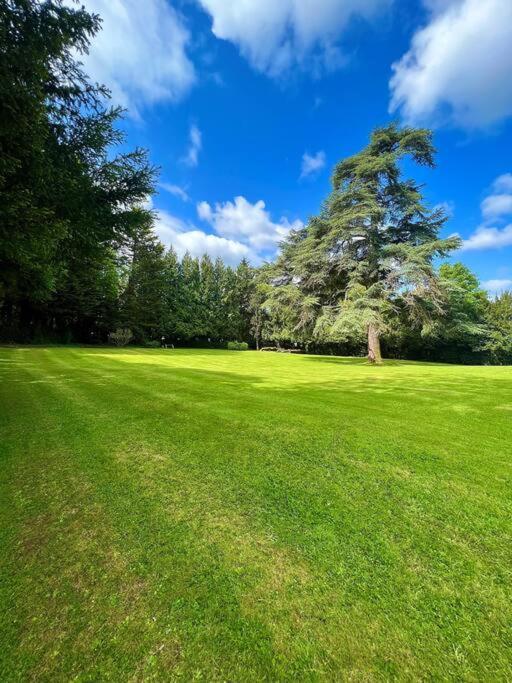 The Beeches - Entire Mansion * Bristol