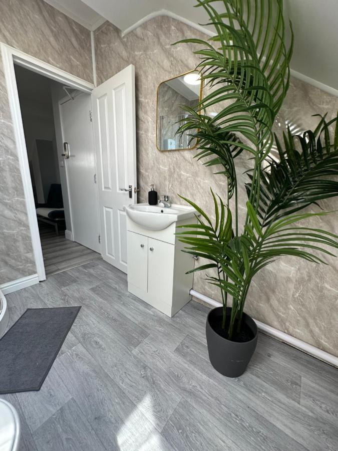 Dvm Escape Flat 3 *