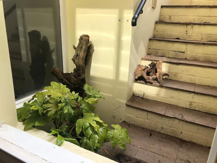Apartment Beautiful, Well Positioned Flat In Clifton Wood Bristol