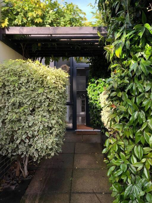 Private Garden Oasis In Apartment *