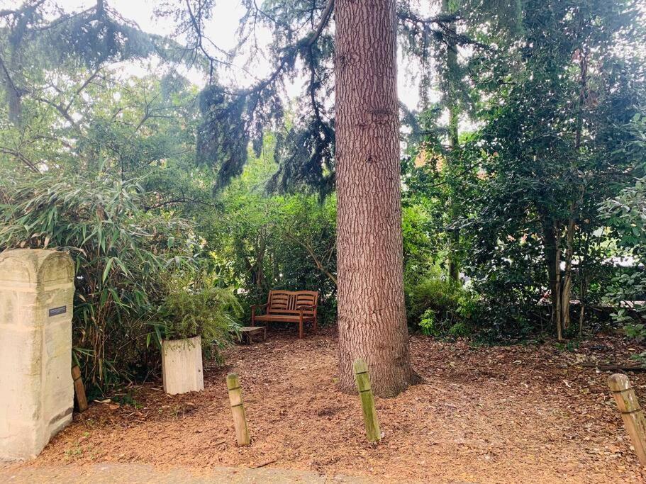 Apartment Near Harbourside & Centre *