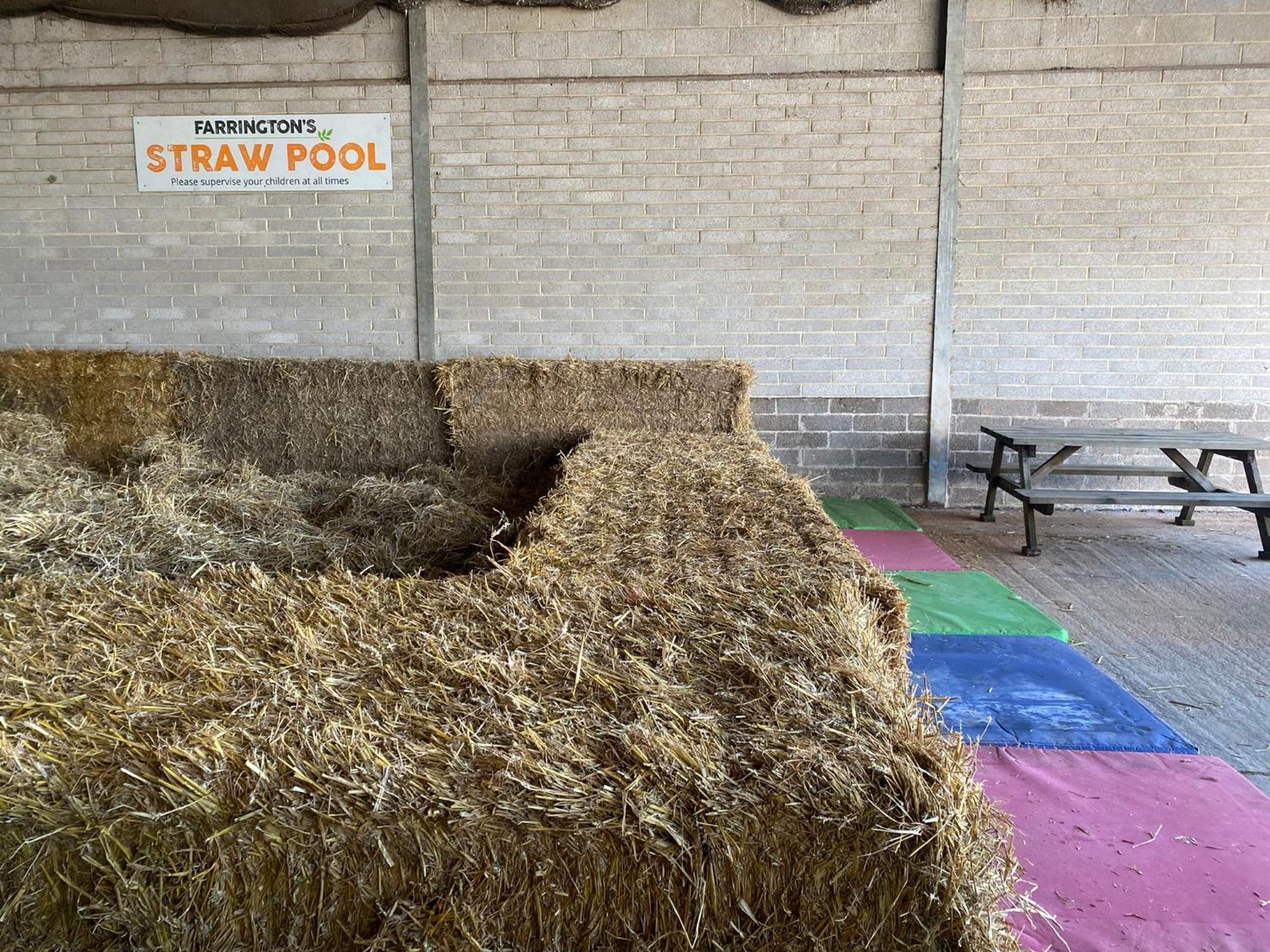 Nine Yards Family Glamping @ Farrington's Farm *