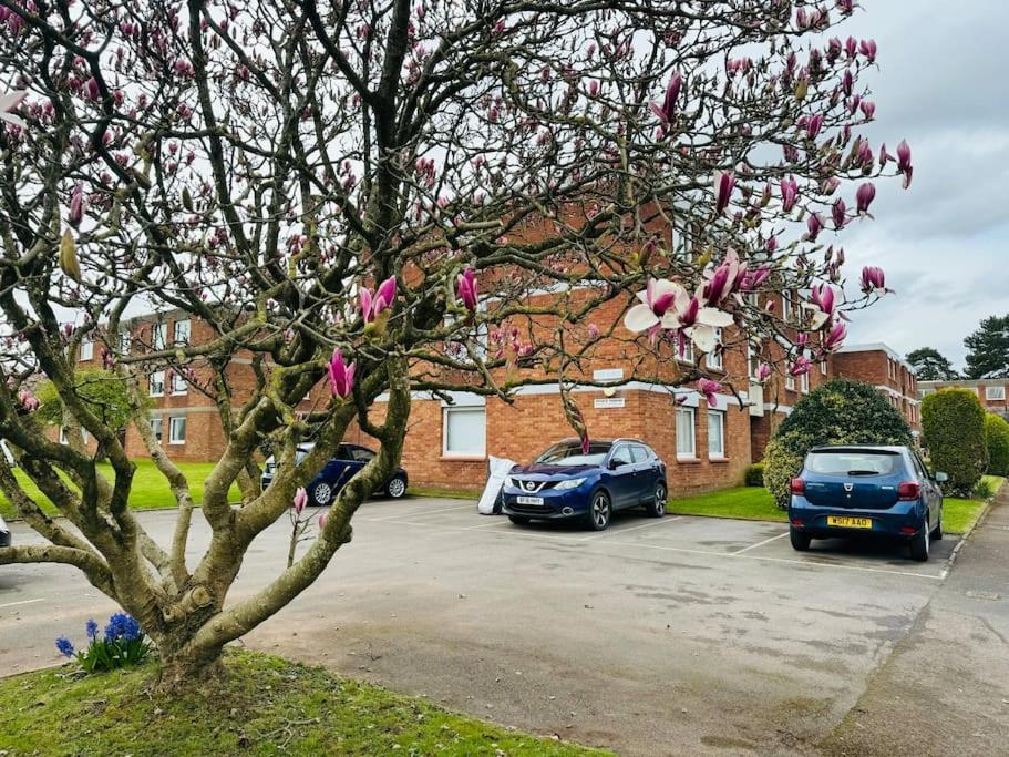 Modern & Secluded In Frenchay Apartment *
