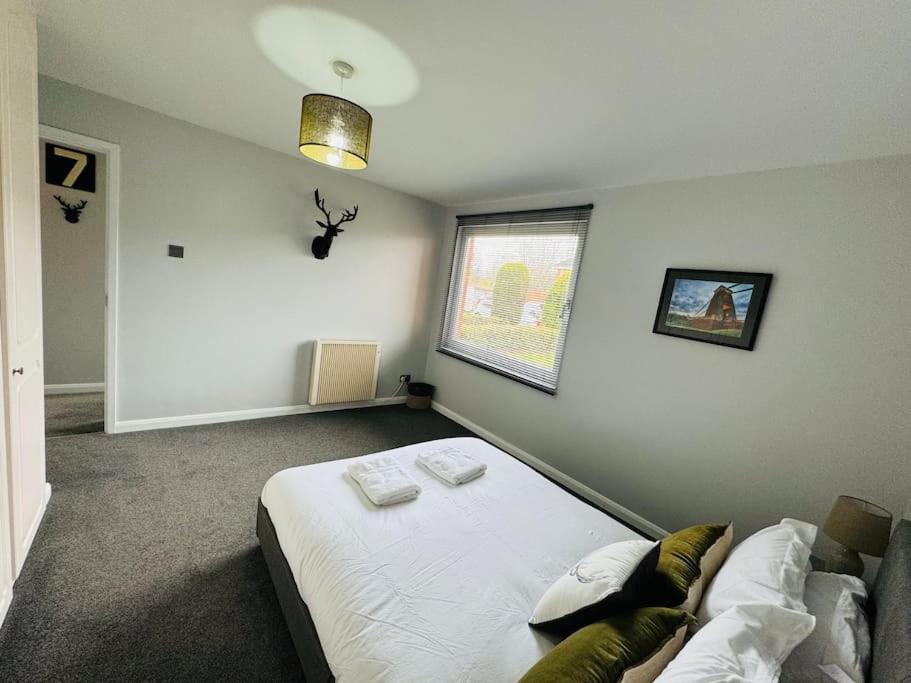 Modern & Secluded In Frenchay