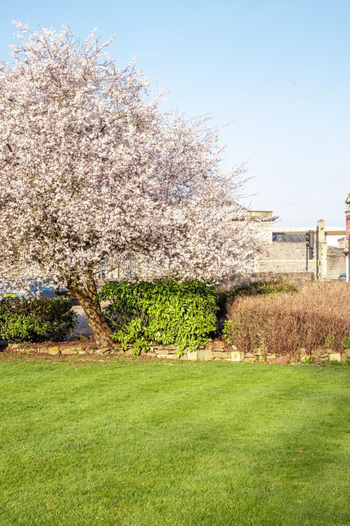 Arnos Manor Hotel 3*