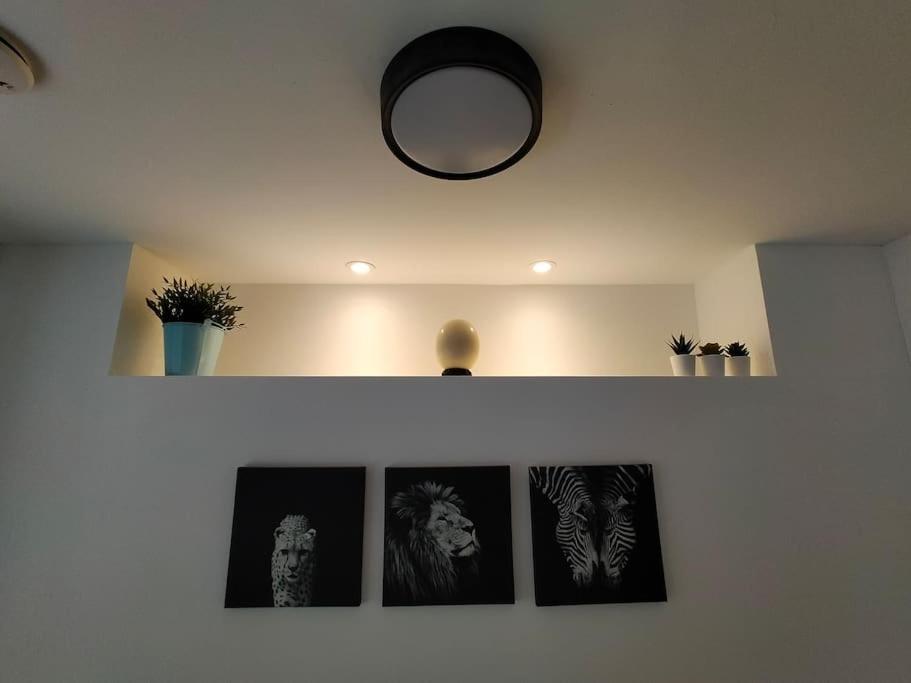 Apartment Private Self Contained Self Catering Flat