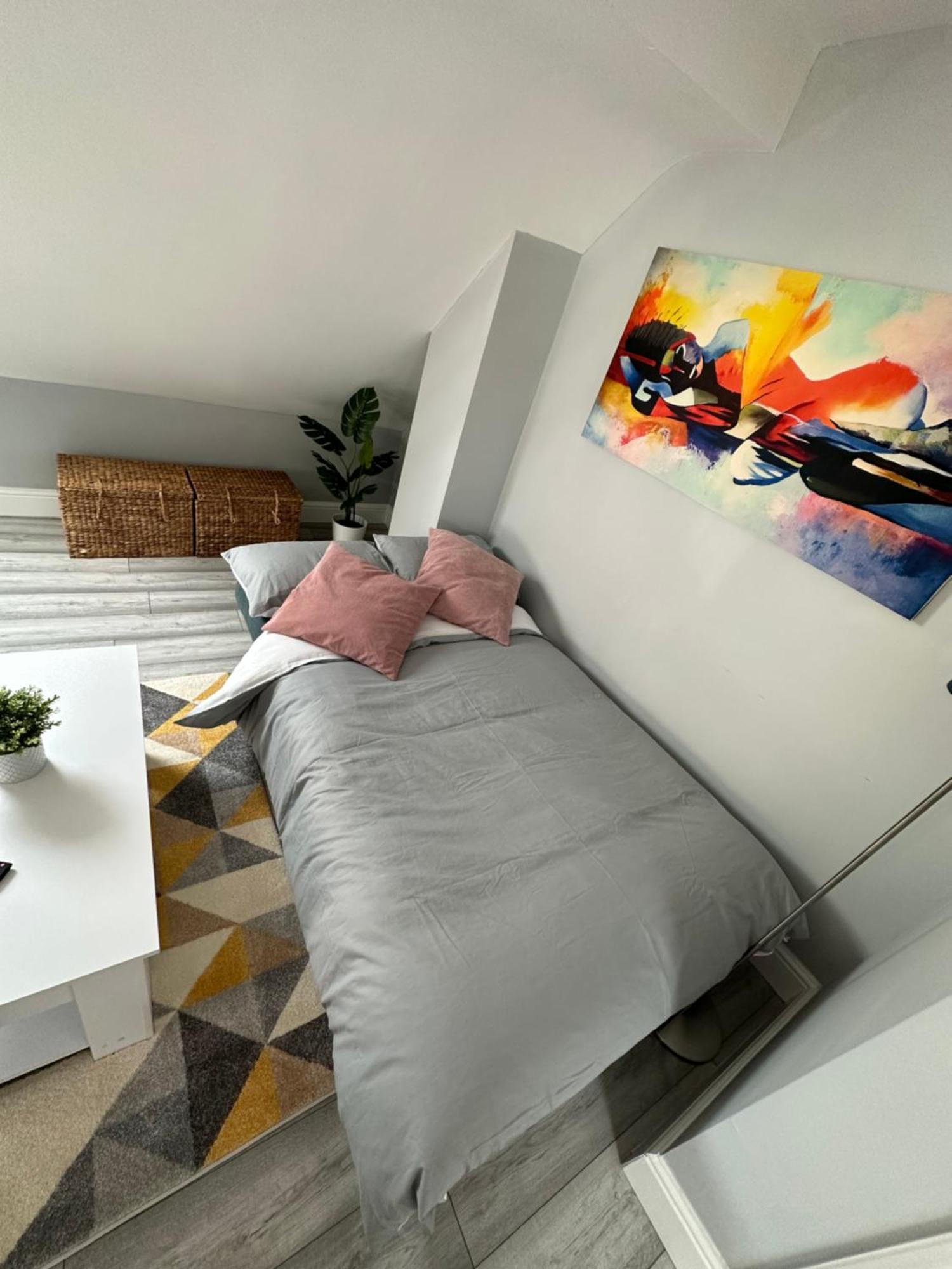Dvm Escape Flat 3 Bristol