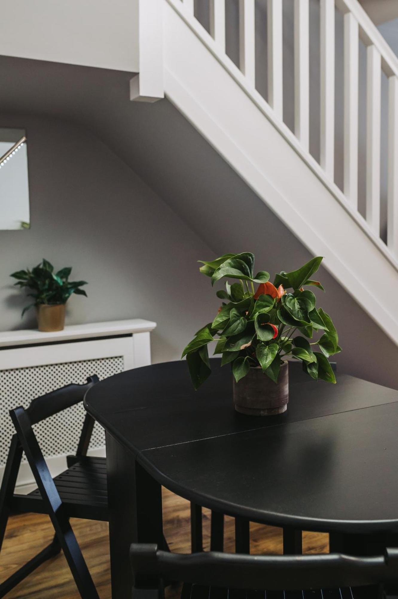No10 - 2 Bedroom House With Private Garden And Parking Apartment Bristol