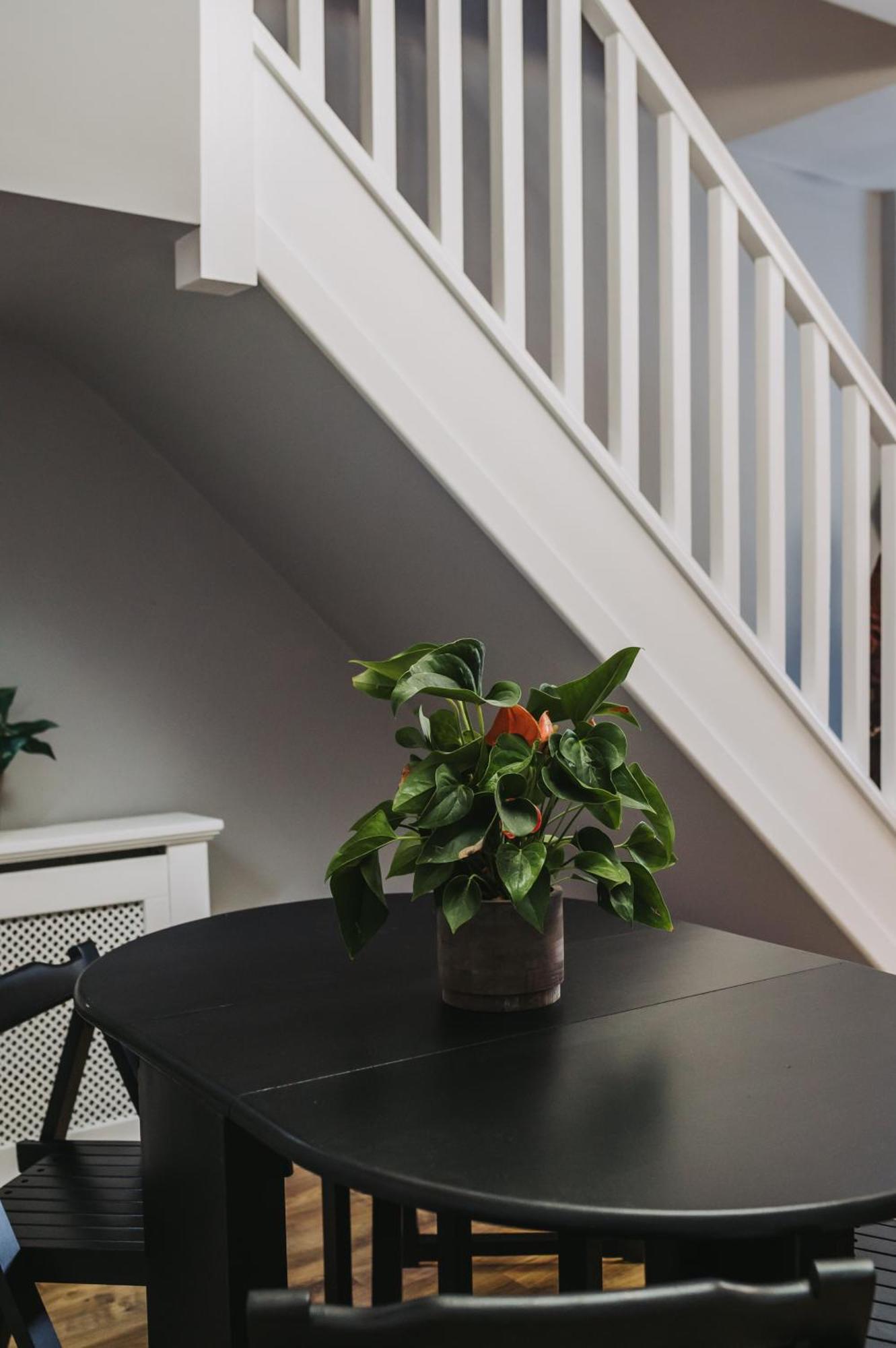 No10 - 2 Bedroom House With Private Garden And Parking Apartment *
