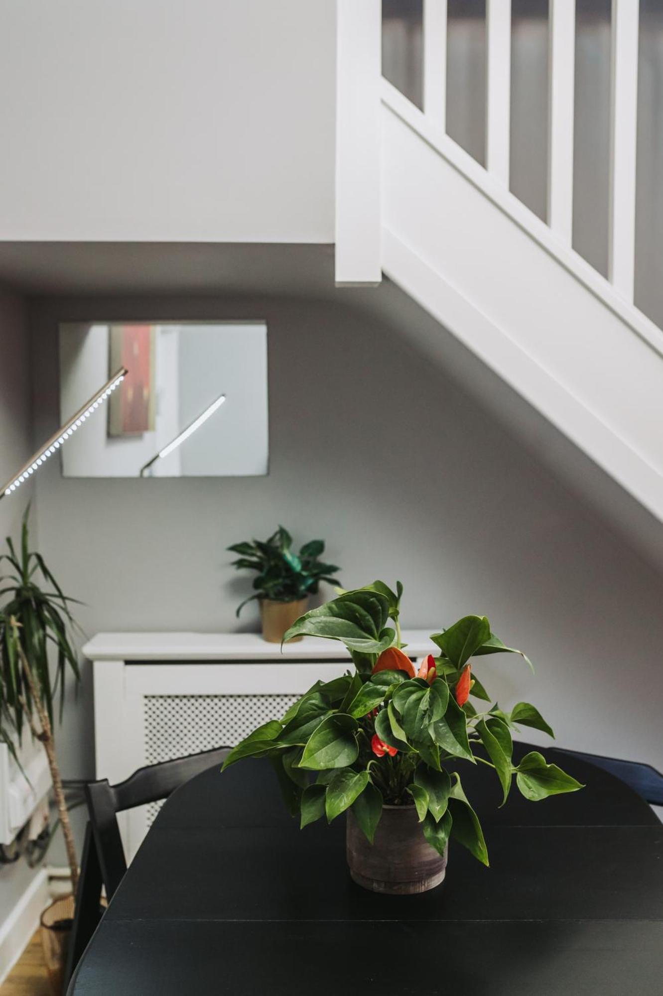 No10 - 2 Bedroom House With Private Garden And Parking * Bristol