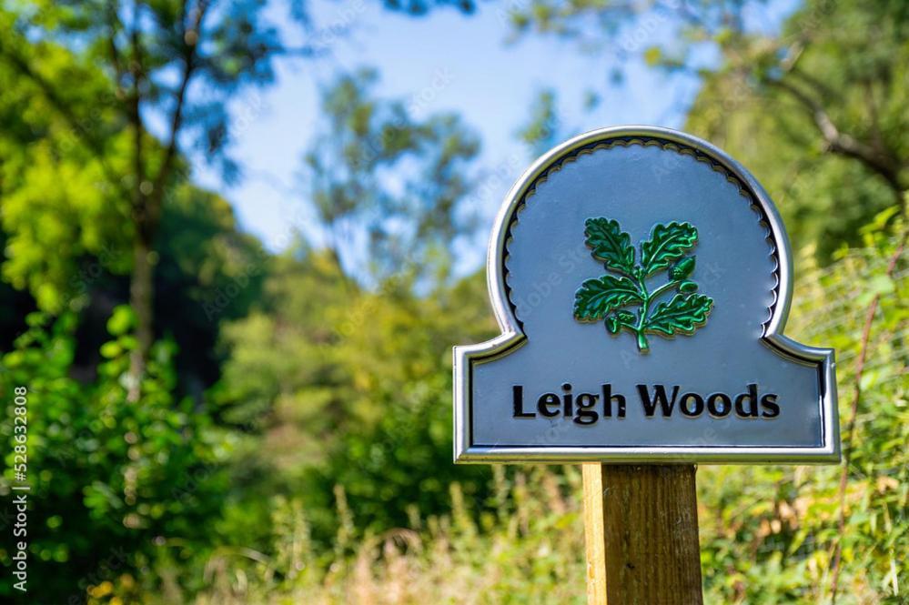 Peaceful Woodland Retreat Near Clifton, Holiday home *