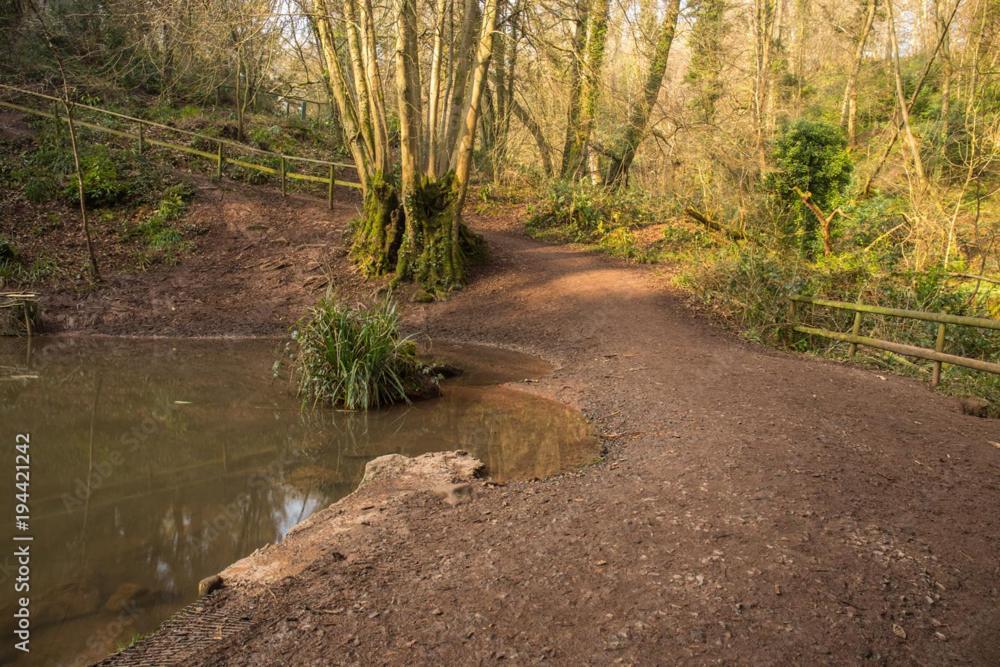Peaceful Woodland Retreat Near Clifton, * Bristol