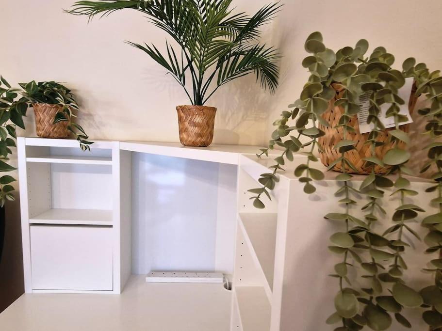 2 Bedroom Flat Close To Centre Bristol