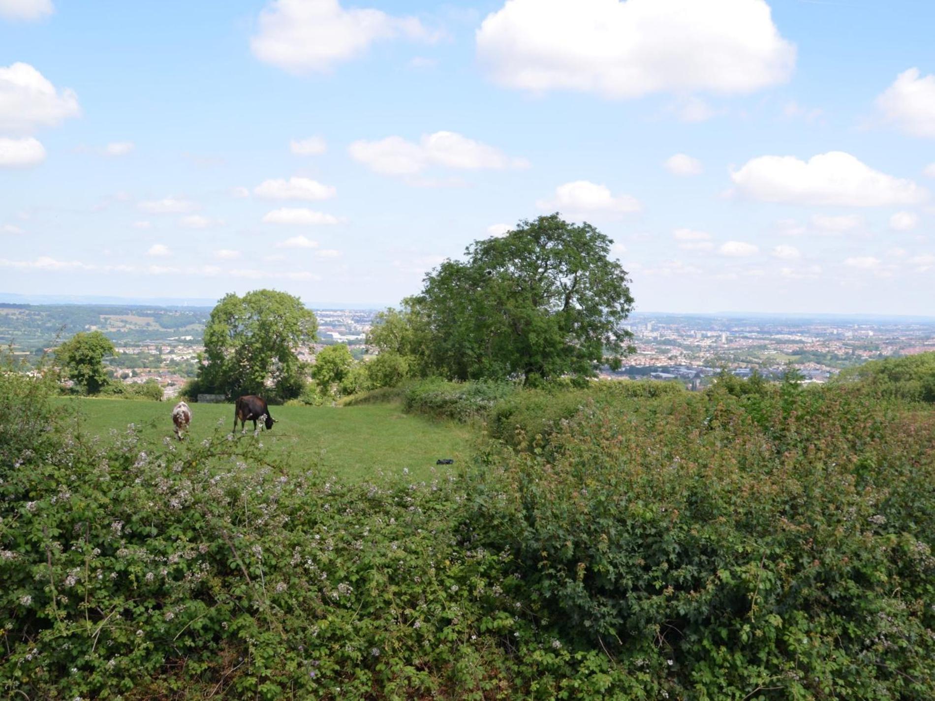 2 Bed In 75697 Holiday home Bristol
