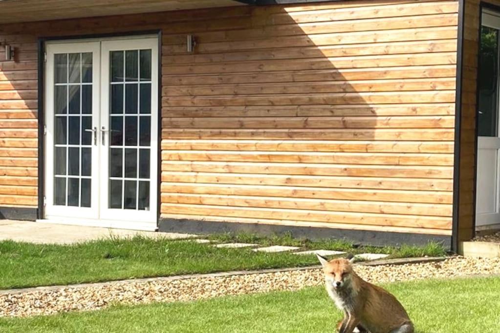 Self Contained Cabin, Firepit, Nr Mod Aztec, M5, M4 Bristol