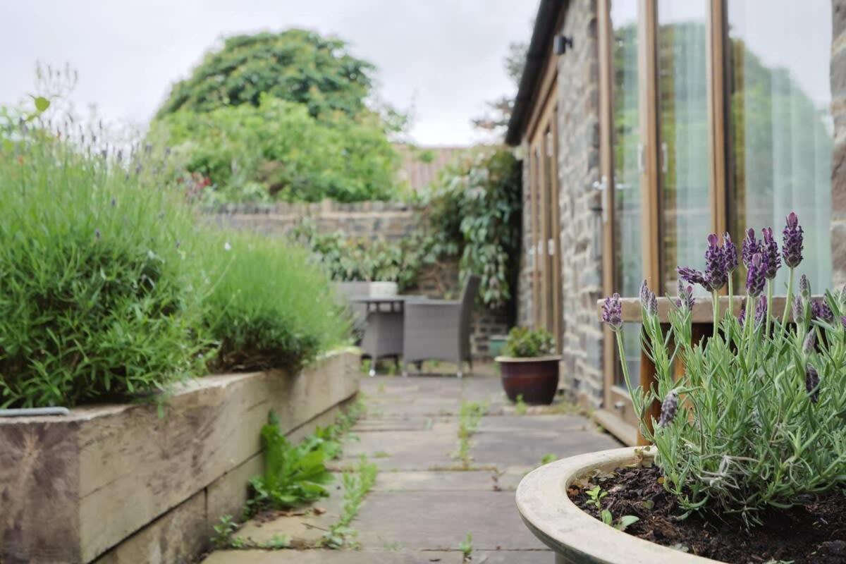 Musthay Mews Tockington *