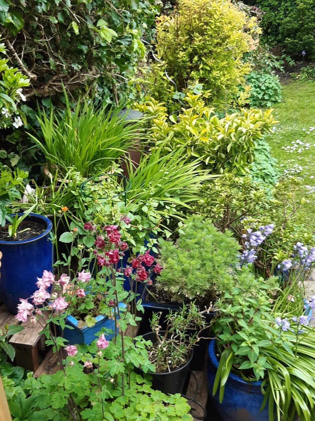 Holiday home Peaceful Family Retreat Near Gloucester Road