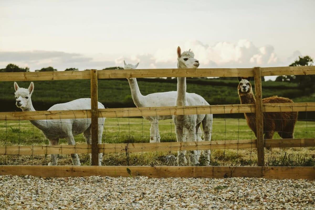 The Hay Barn - Hopewell Holiday home *