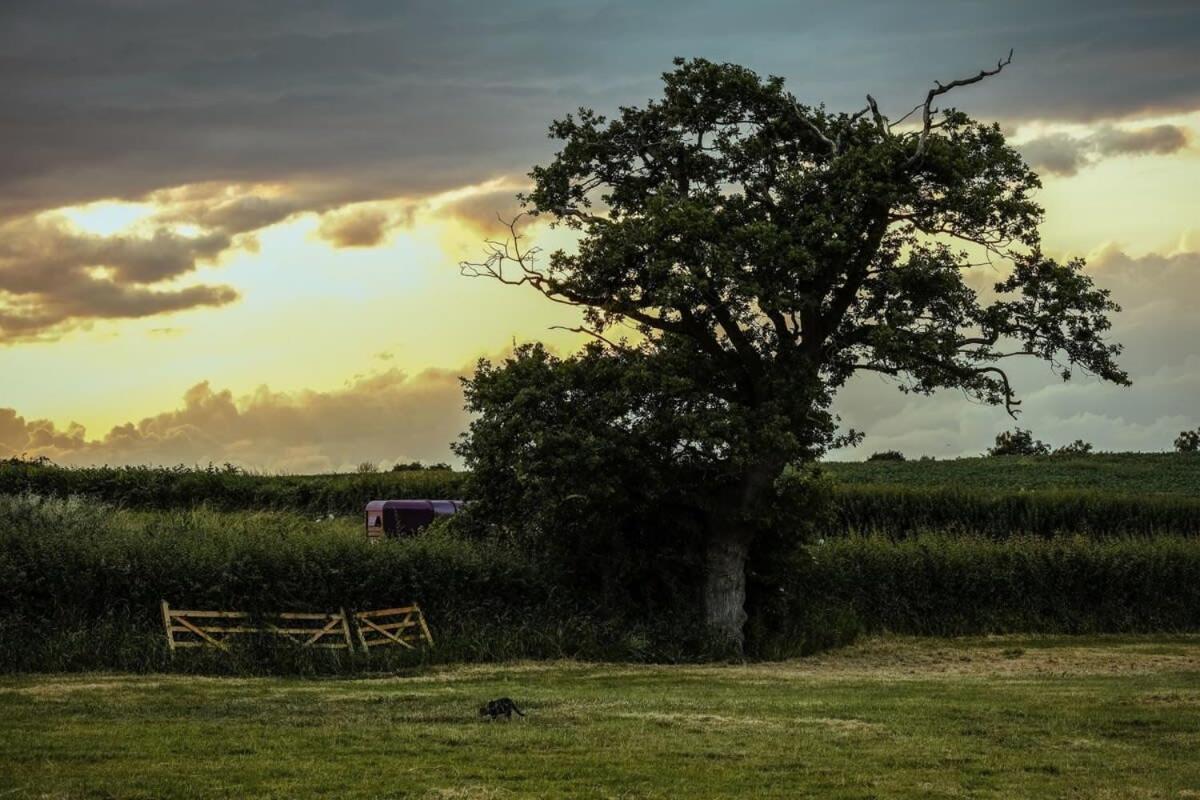 Holiday home The Hay Barn - Hopewell